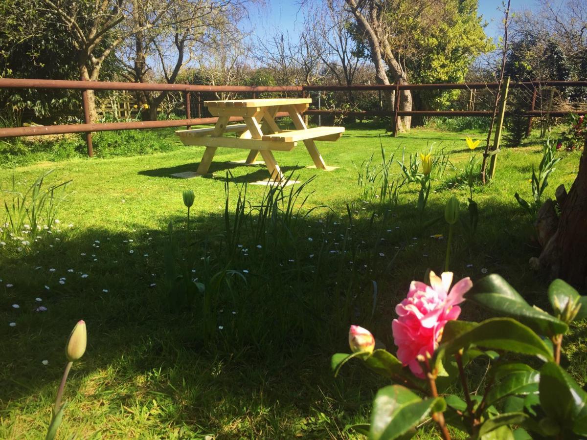 Herons Pool Bed and Breakfast Coverack Εξωτερικό φωτογραφία